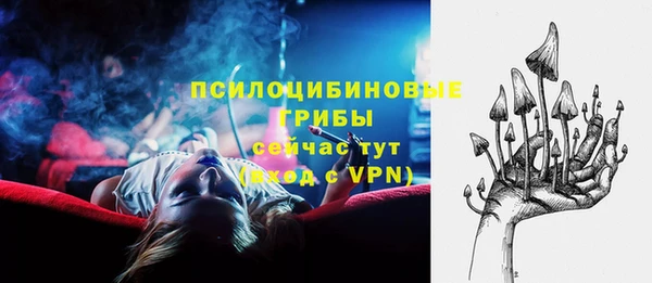 герыч Алексин