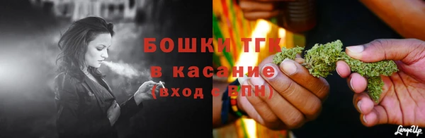стаф Алексеевка