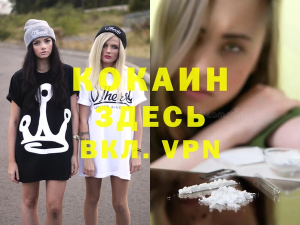 герыч Алексин