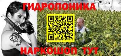 мдпв Владивосток