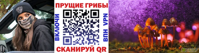 Псилоцибиновые грибы Magic Shrooms Тула