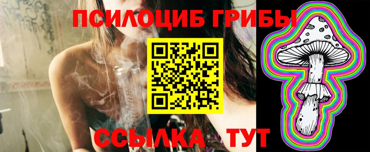 Тула  Псилоцибиновые грибы GOLDEN TEACHER  Вход с VPN 
