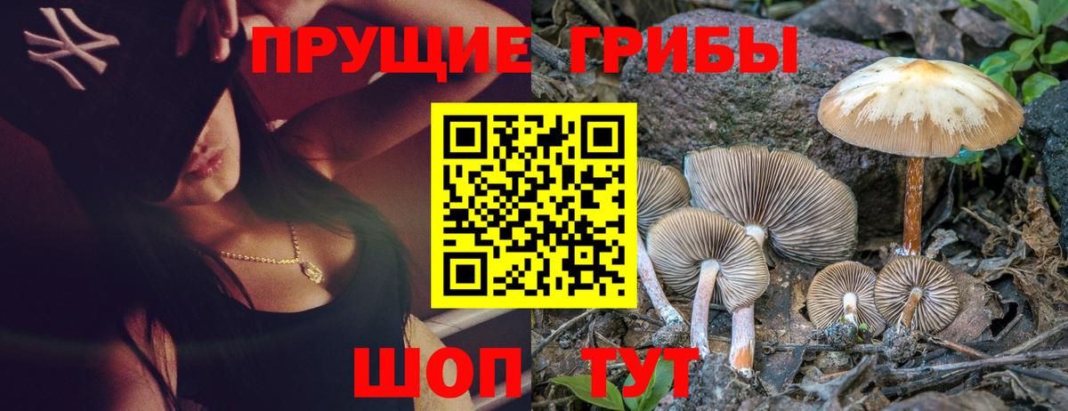 Галлюциногенные грибы мухоморы Тула